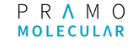 PRAMOMOLECULAR GmbH