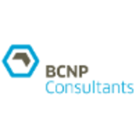 BCNP Consultants GmbH