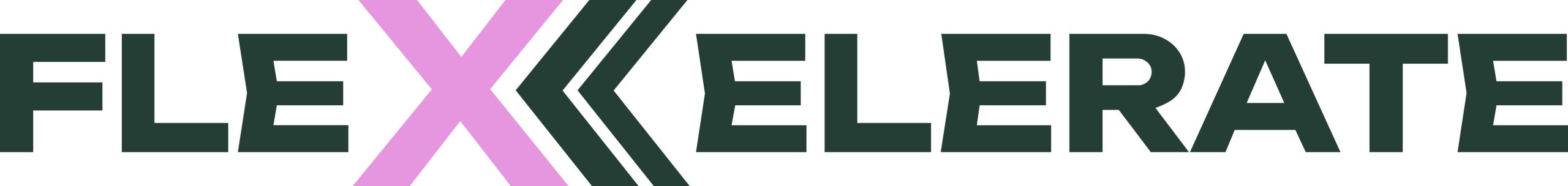 FLEXCELERATE Solutions GmbH